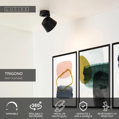 Lucide TRIGONO - Spot plafond - Ø 10,5 cm - 1xGU10 - Noir - USP